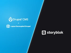 Blue and Grey Diagonal Split of Drupal CMS Lupus Decoupled Drupal and Storyblok Logos